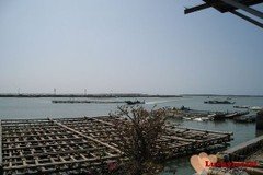嘉義布袋漁港